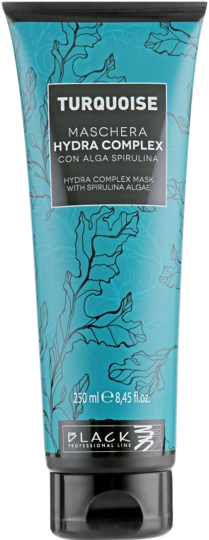 Маска для відновлення волосся - Black Professional Turquoise Hydra Complex Mask — фото N1
