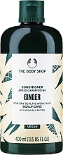 Кондиціонер-догляд для шкіри голови "Імбир" - The Body Shop Ginger Scalp Care Conditioner — фото N1
