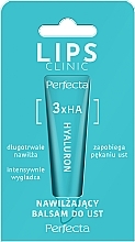 Парфумерія, косметика Бальзам для губ - Perfecta Lips Clinic 3x Hialuron