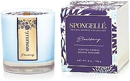 Ароматическая свеча "Ежевика" - Spongelle Private Reserve Scented Candle — фото N2