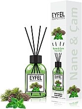 Аромадифузор "М'ята" - Eyfel Perfume Reed Diffuser Mint — фото N1