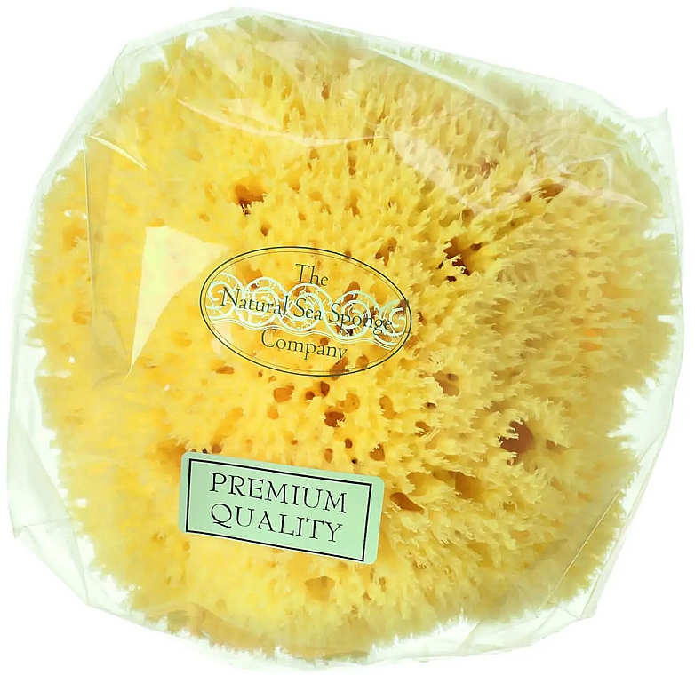 Натуральная морская губка, 14 см - Hydrea London Honeycomb Sea Sponge Premium Quality — фото N1
