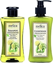 Парфумерія, косметика Набір - Melica Organic For Coloured Hair Duo Set (shm/300ml + h/cond/300ml)