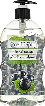 Парфумерія, косметика Рідке мило для рук, смородина і алое вера - Bluxcosmetics Naturaphy Hand Soap
