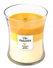 Ароматическая свеча в стакане - WoodWick Hourglass Trilogy Candle Fruits of Summer — фото N2