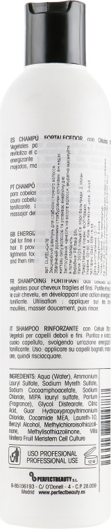 Шампунь "Зміцнювальний" - Design Look Energy Care Shampoo — фото N2