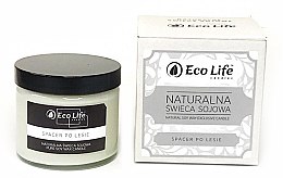 Парфумерія, косметика Ароматична свічка "Прогулянка лісом" - Eco Life Candles