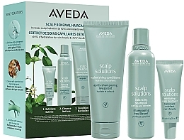 Парфумерія, косметика Набір - Aveda Scalp Solutions Winter Renewal Set (cond/200ml + shmp/200ml + sc/treatm/25ml)