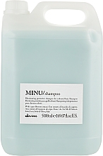 Шампунь для додання блиску і захисту кольору волосся - Davines Minu Shampoo — фото N3