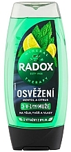 Парфумерія, косметика Чоловічий гель для душу 3 в 1 "Освіження" - Radox Refreshment Menthol And Citrus 3-in-1 Shower Gel