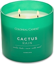 Парфумерія, косметика Ароматична свічка з трьома ґнотами - Colonial Candle Scented With Three Wicks Cactus Rain