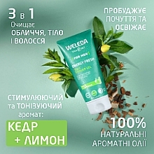 Чоловічий Енерджи гель для душу 3 в 1 - Weleda For Men Energy Fresh 3 In 1 Shower Gel — фото N4