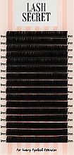 Накладні вії, чорні, 16 ліній (один розмір, 0.1, D, 9) - Lash Secret — фото N1