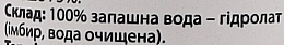 Тонік-гідролат "Імбир" - Bioactive Universe Biotonik Hydrolyte — фото N4