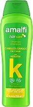 Духи, Парфюмерия, косметика Шампунь для жирных волос «Кератин» - Amalfi Keratin for oily hair Shampoo