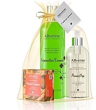 Парфумерія, косметика Набір "Бергамот і лимон-лайм" - Allverne Nature's Essences (elixir/500ml + soap/300ml + soap/100g)