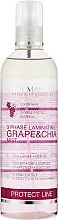 Духи, Парфюмерия, косметика Ламинирующий 3-фазный спрей для защиты волос с виноградом и чиа - Spa Master Laminating Grape & Chia