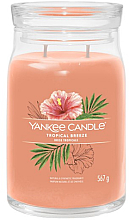 Духи, Парфюмерия, косметика Ароматическая свеча в банке "Tropical Breeze", 2 фитиля - Yankee Candle Singnature 