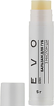 Бальзам для губ з маслом ши - EVO derm — фото N1