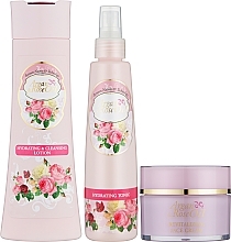 Парфумерія, косметика Набір - Sts Cosmetics Argan & Rose Oil Juvinity (fac/cr/100ml + ton/200ml + lot/250ml)