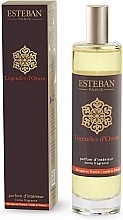Esteban Legendes d'Orient Home Fragrance Spray - Парфюмированный спрей для дома — фото N1