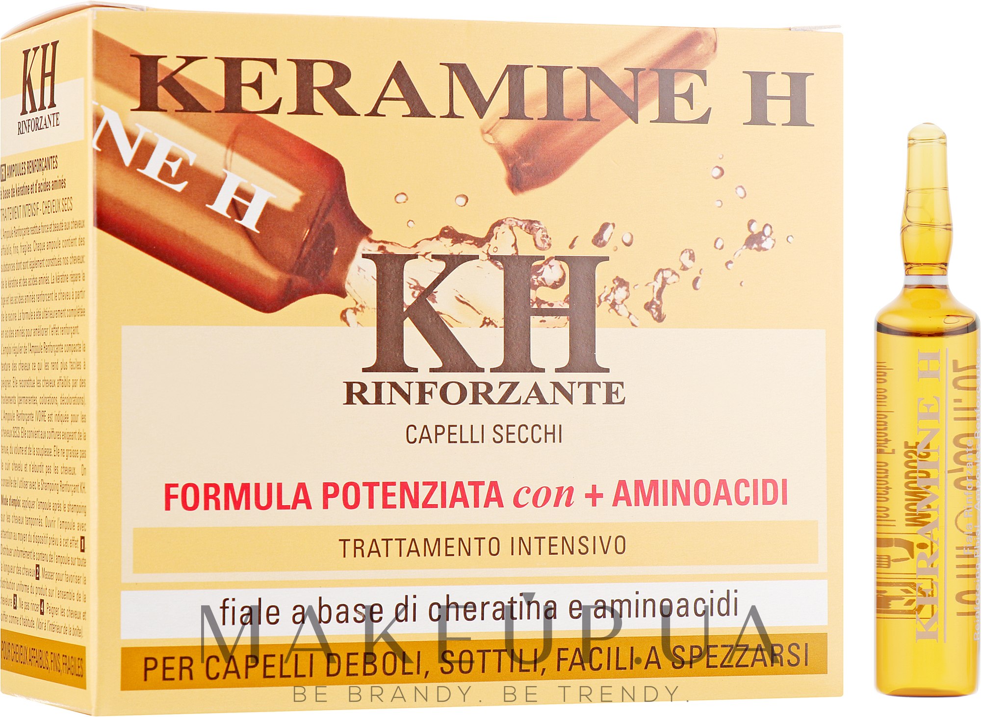 Ампули для зміцнення сухого волосся - Keramine H Reinforcing Treatments Dried Hair Field — фото 10x10ml