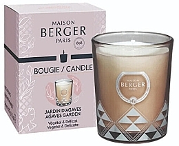 Духи, Парфюмерия, косметика Ароматическая свеча - Maison Berger Garden of Agaves Candle
