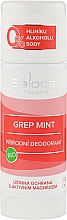 Парфумерія, косметика Органічний натуральний дезодорант "Грейпфрутова м'ята" - Saloos Grep Mint Deodorant
