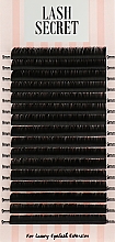 Накладні вії, чорні, 16 ліній (один розмір, 0,1, L, 9) - Lash Secret — фото N1