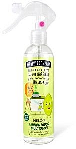 Спрей-освежитель воздуха - The Fruit Company Multi-Purpose Air Freshener Spray Melon — фото N1