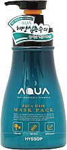 Парфумерія, косметика Маска для волосся - Hyssop Aqua Hair Mask Pack