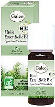 Духи, Парфюмерия, косметика Органическое эфирное масло сосны - Galeo Organic Essential Oil Pine