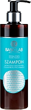 Шампунь для окрашенных волос - BasicLab Dermocosmetics Capillus Colour Protecting Shampoo — фото N2