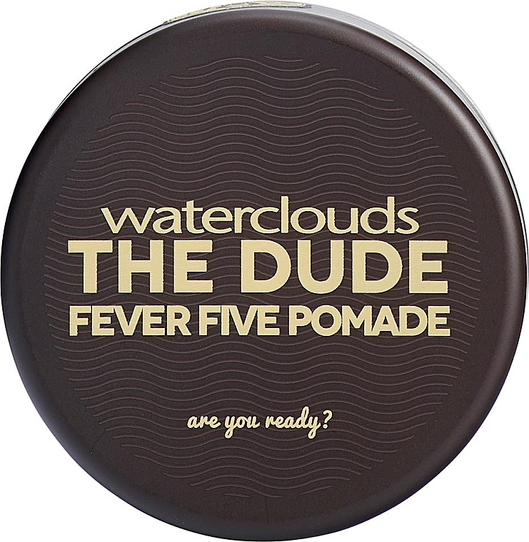 Помада для волосся - Waterclouds The Dude Fever Five Pomade — фото N1