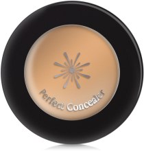 Духи, Парфюмерия, косметика Корректирующее средство - Missha The Style Perfect Concealer