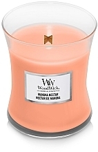 Ароматична свічка в склянці - WoodWick Hourglass Candle Manuka Nectar — фото N2