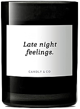 Ароматическая свеча - Candly & Co No.6 Late Night Feelings Scented Candle — фото N2