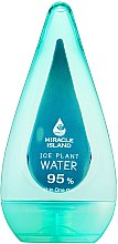 Гель для обличчя, тіла і волосся "Крижана вода" - Miracle Island Ice Plant Water 95% All In One Gel — фото N1