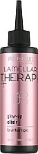 Парфумерія, косметика Еліксир для всіх типів волосся - Prosalon Lamellar Therapy+ Elixir