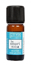 Парфумерія, косметика Суміш ефірних олій із літсеєю - Styx Naturcosmetic Be Smart Mix Oil With Litsea