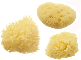Набір морських губок для душу - Hydrea London Mediterranean Honeycomb & Fina Silk (sponge/3pcs) — фото N2
