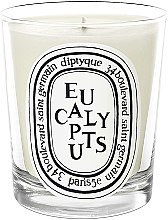 Ароматическая свеча - Diptyque Eucalyptus Candle — фото N1