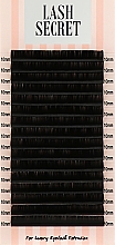 Парфумерія, косметика Накладні вії, чорні, 16 ліній (один розмір, 0,07, D, 10) - Lash Secret