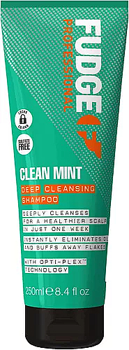 Шампунь для глубокого очищения волос - Fudge Clean Mint Shampoo — фото N1