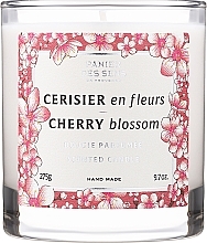 Парфумерія, косметика Ароматична свічка у склянці "Квітка вишні" - Panier Des Sens Scented Candle Cherry Blossom