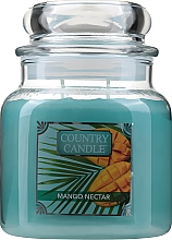 Парфумерія, косметика Ароматична свічка - Country Candle Mango Nectar