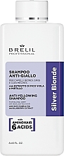 Парфумерія, косметика Шампунь для нейтралізації жовтизни - Brelil Silver Blonde Treatment Anti-Yellowing Shampoo