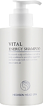 Профессиональный шампунь для нормализации pH-баланса кожи головы - Dr.Hedison Head Spa Vital Energy Shampoo — фото N1