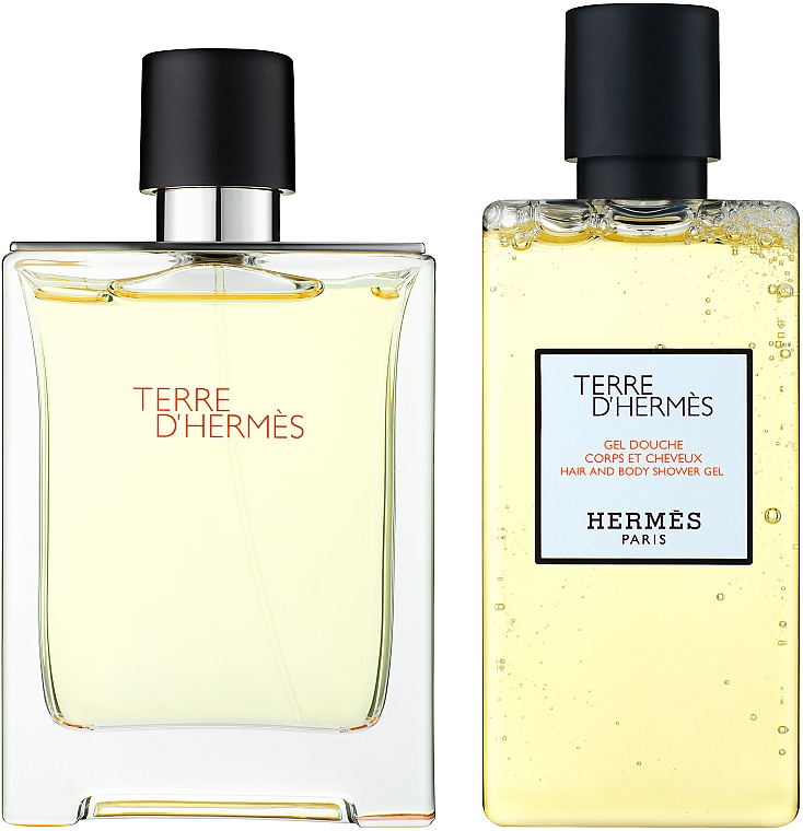 Hermes Terre d’Hermes - Набір (edt/100ml + sh/gel/80ml) — фото N2