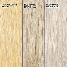 Шампунь для нейтрализации желтизны светлых волос - Redken Color Extend Blondage Shampoo — фото N6